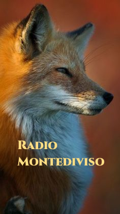 http://www.dallosto.net/radiomontediviso